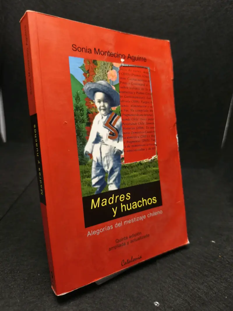 Libro 'Madres y huachos' de Sonia Montecino - 2