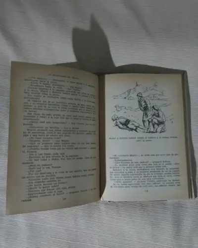 Antiguo Libro de Emilio Salgari - miniatura 3