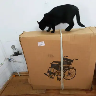 Silla de Ruedas Plegable en Caja - miniatura 1