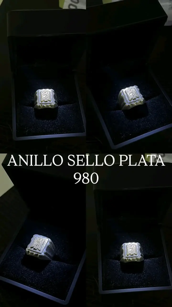 Anillo de sello en plata 980 - 1