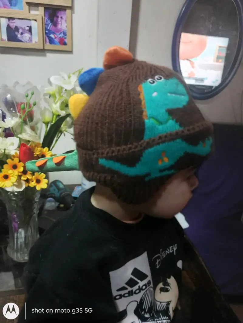 Gorros de lana para niños con diseño de dinosaurio - 2