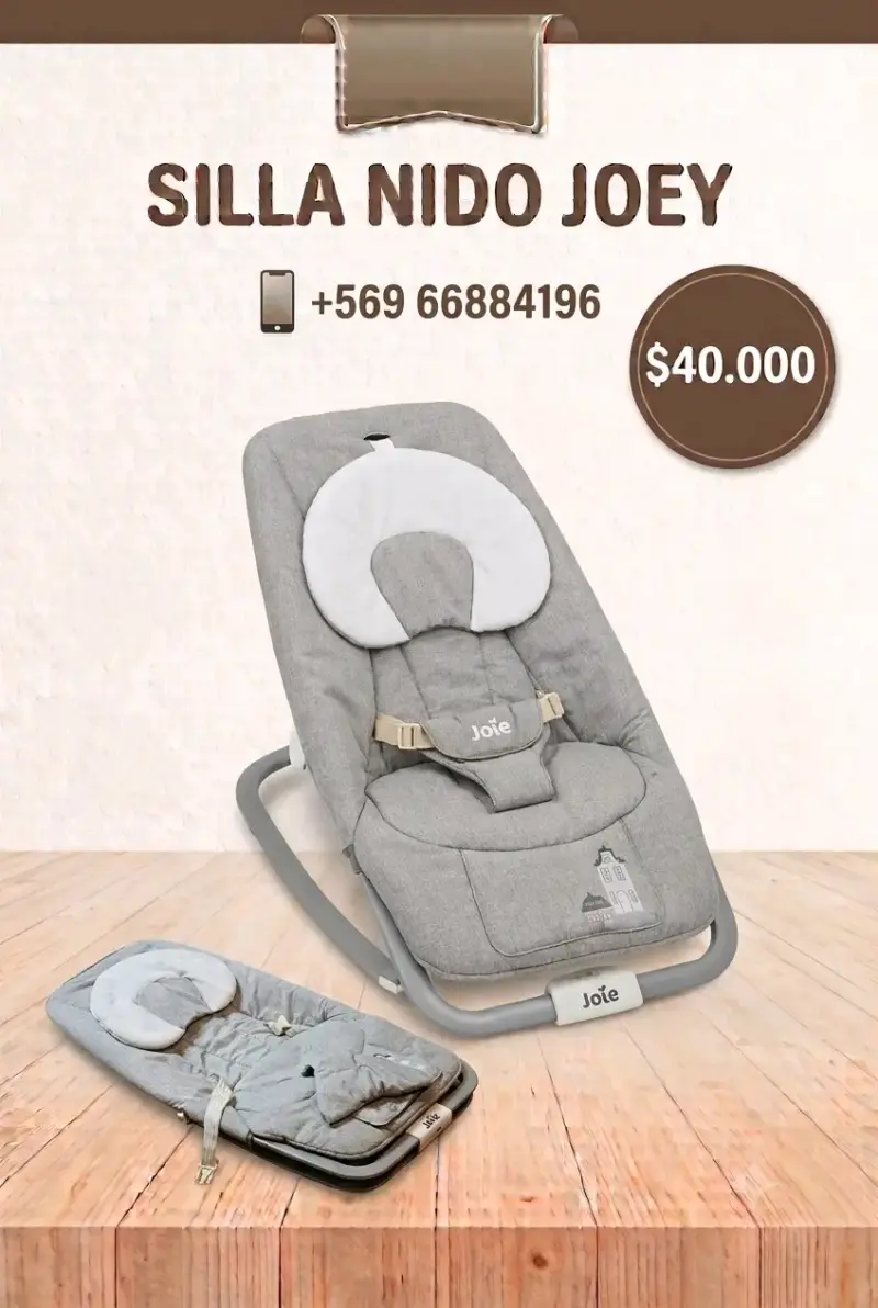 Silla Nido Joie para Bebé en Gris