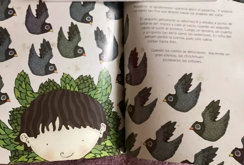 Libro infantil 'El Pequeño Meliñir' de Víctor Carvajal - 2