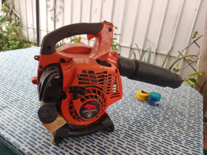 Soplador de hojas a gasolina Giovacchino 654 - 2