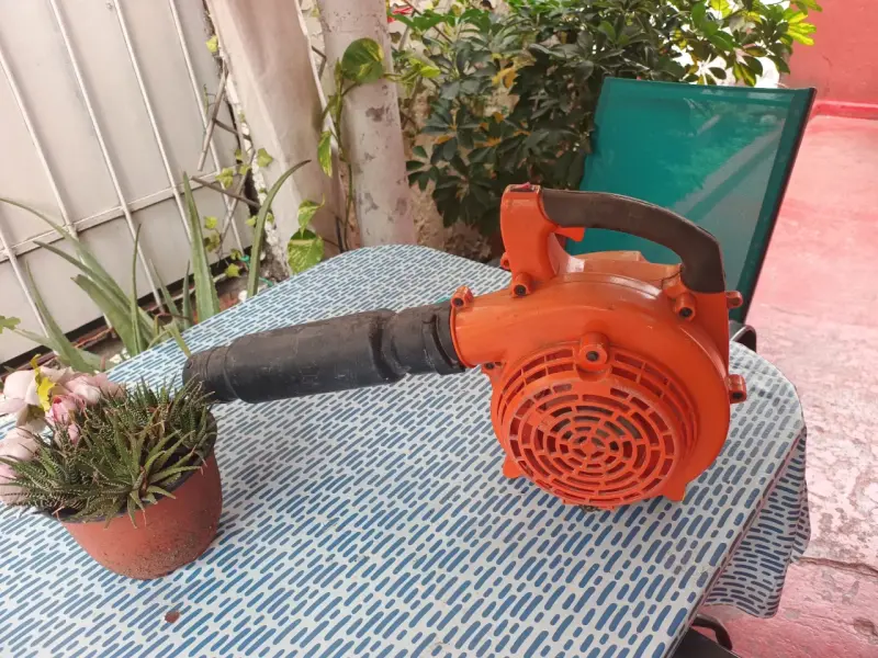 Soplador de hojas a gasolina Giovacchino 654 - 3