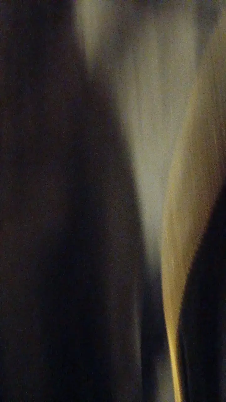 Chaqueta negra con cierre y detalles Adolfo - 3