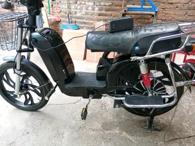 Bicicleta eléctrica con batería recargable y portaequipaje - miniatura 4