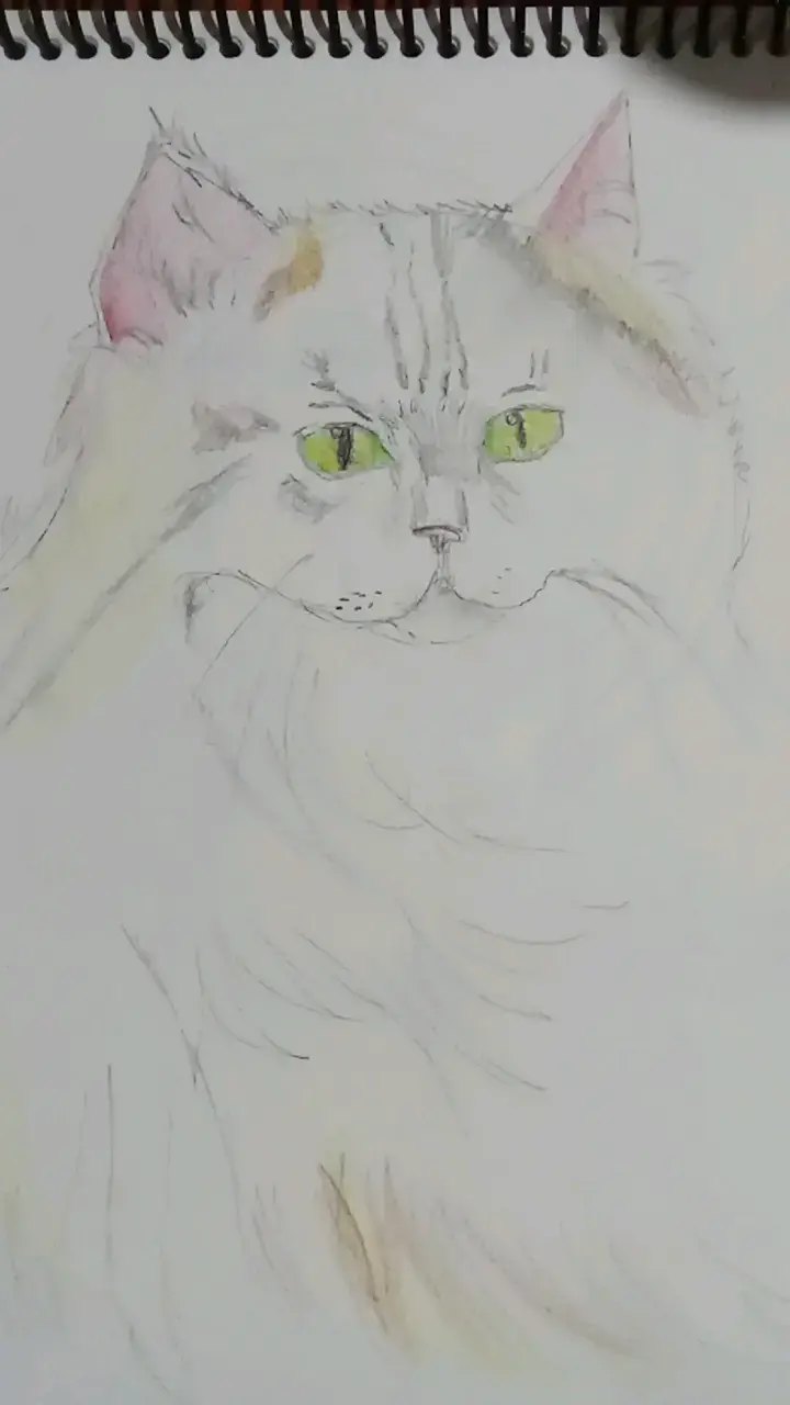 Dibujos a mano de estilo anime y gato - 2