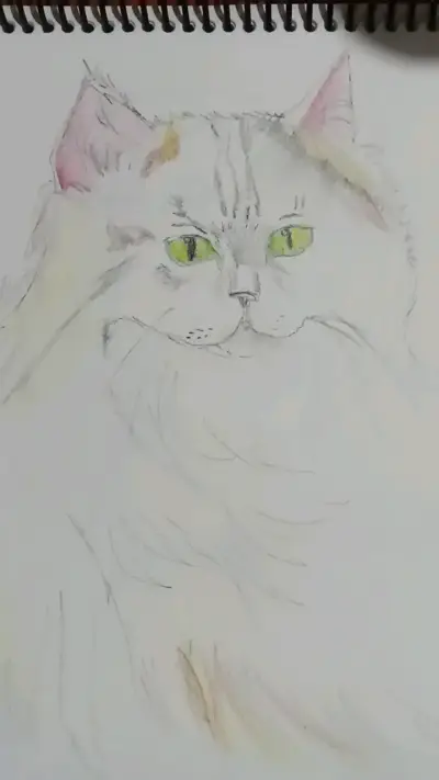 Dibujos a mano de estilo anime y gato - miniatura 2