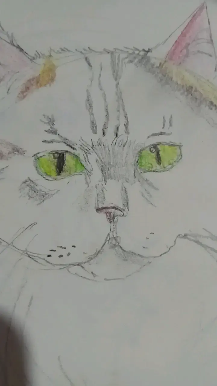 Dibujos a mano de estilo anime y gato - 3