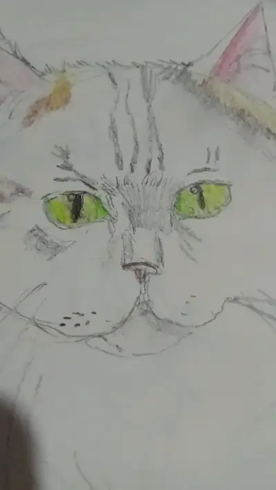 Dibujos a mano de estilo anime y gato - miniatura 3