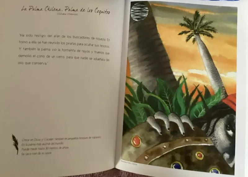 Libro Árbol y Cuento ilustrado - 2