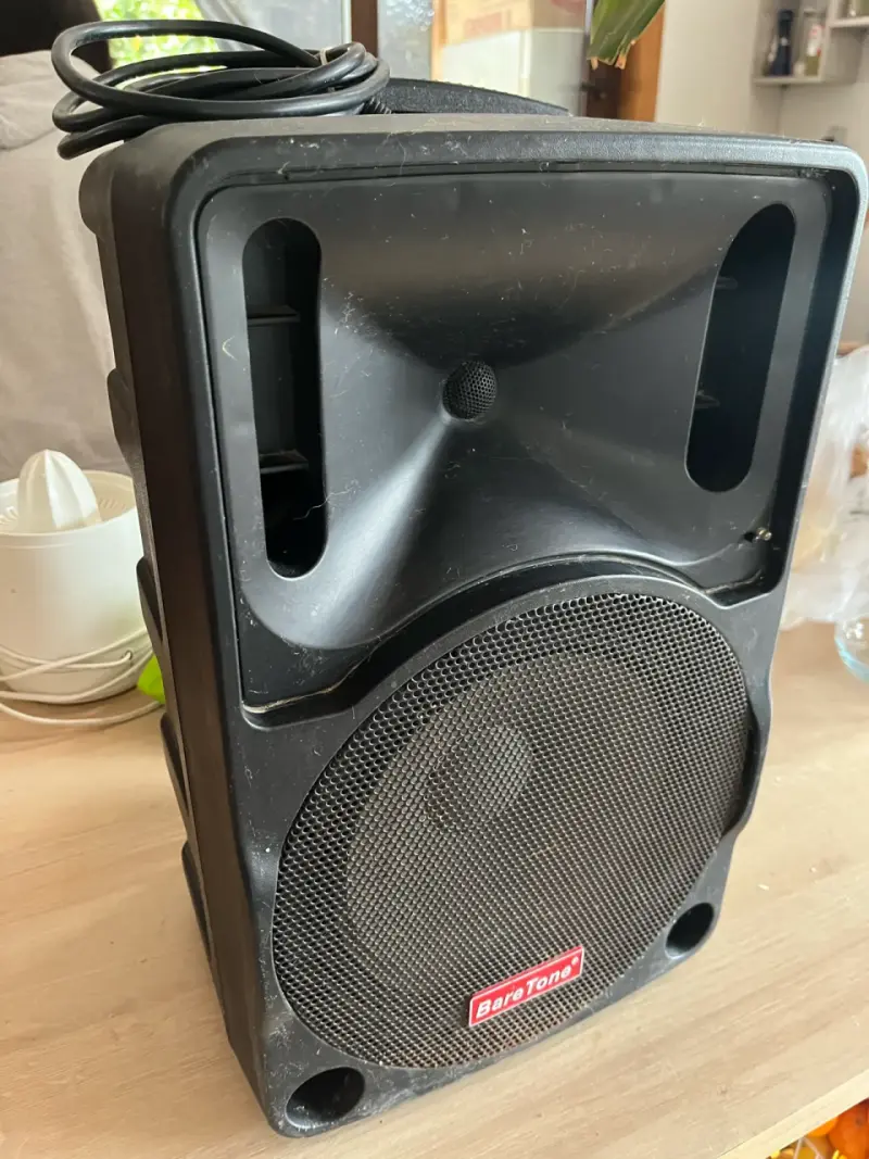 Parlante activo BareTone con MP3 Player - 2