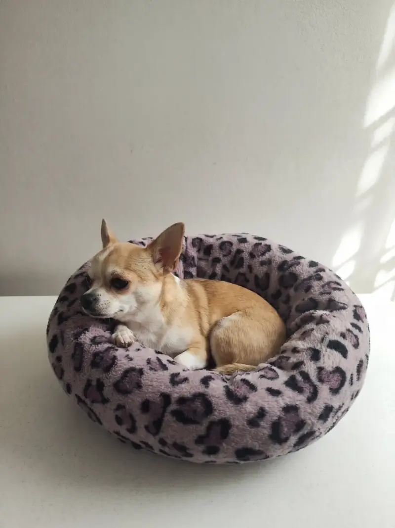 Cama para mascotas con diseño de leopardo