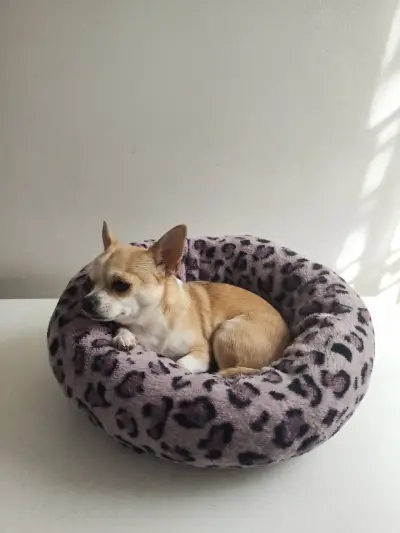 Cama para mascotas con diseño de leopardo - miniatura 1