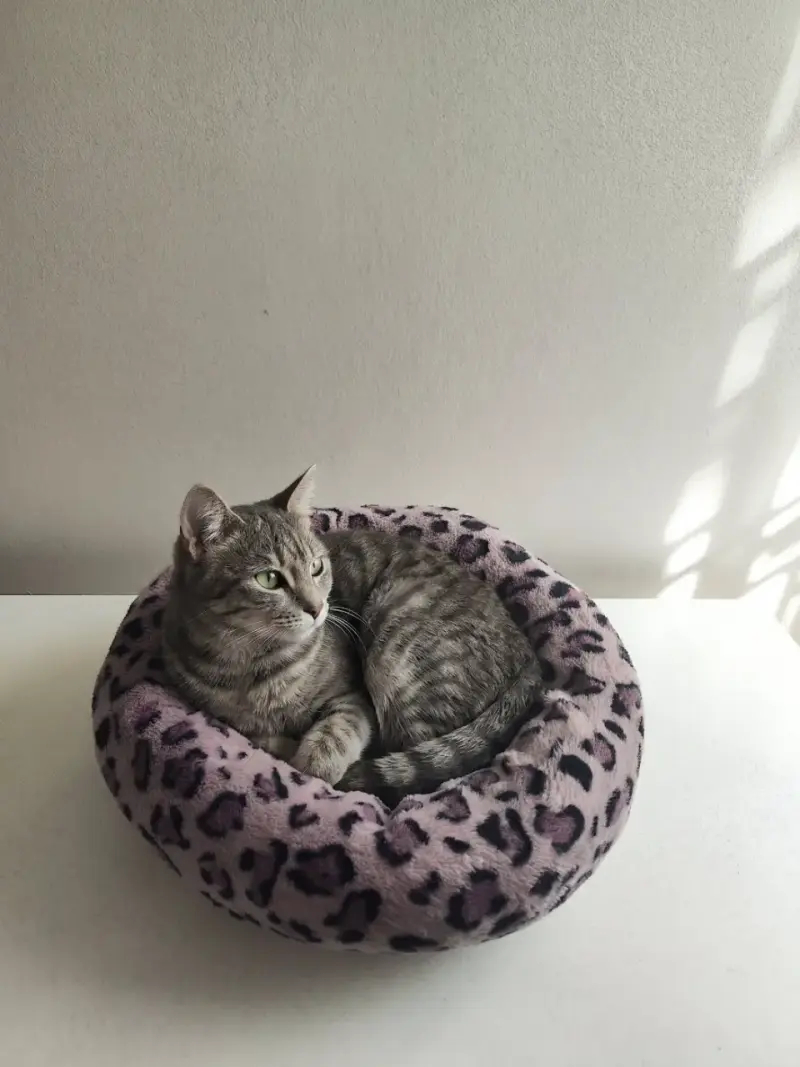 Cama para mascotas con diseño de leopardo - 2