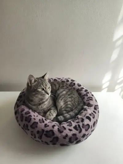 Cama para mascotas con diseño de leopardo - miniatura 2