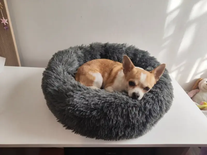 Cama redonda para mascotas gris suave - 1
