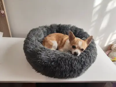 Cama redonda para mascotas gris suave - miniatura 1