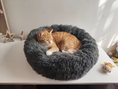 Cama redonda para mascotas gris suave - miniatura 2