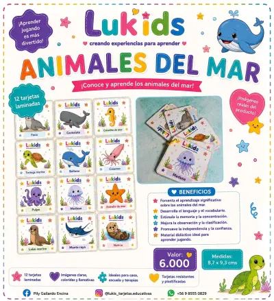 Tarjetas Educativas Lukids Medios de Transporte - miniatura 2