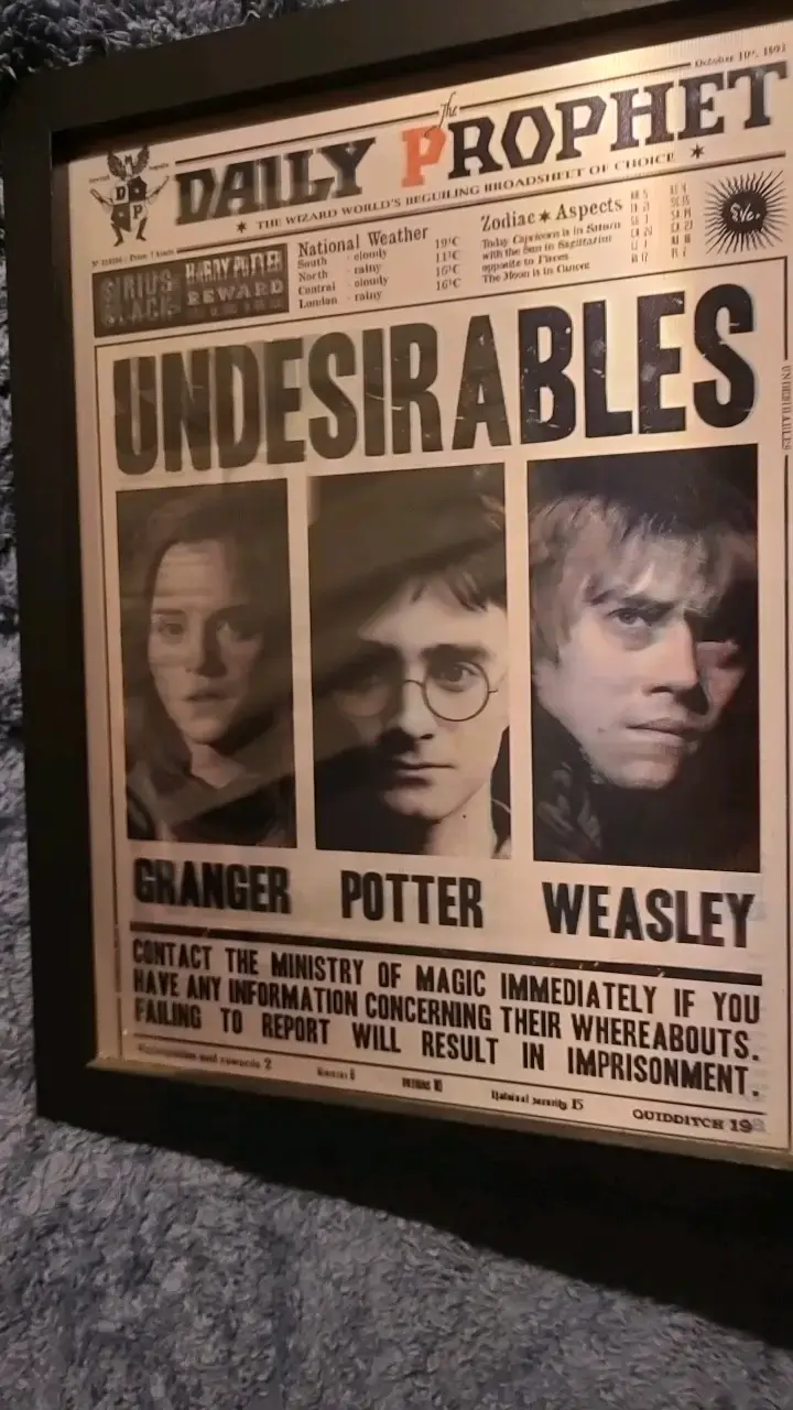 Cuadro Diario El Profeta Harry Potter - 2