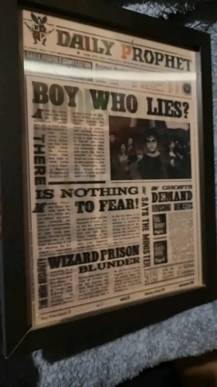 Cuadro Diario El Profeta Harry Potter - 3