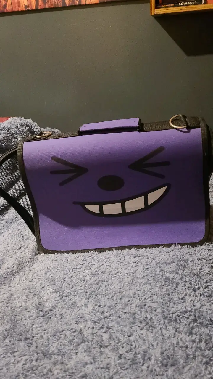 Bolso transportin - 1