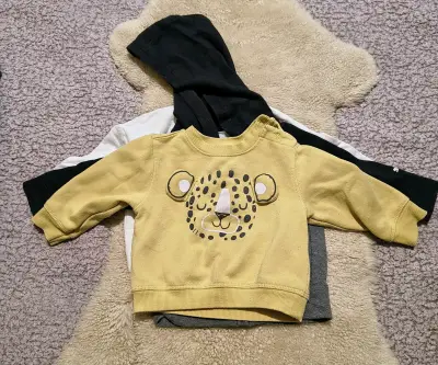 Lote ropa bebé 3 a 12m,50 prendas,excelente estado - miniatura 6