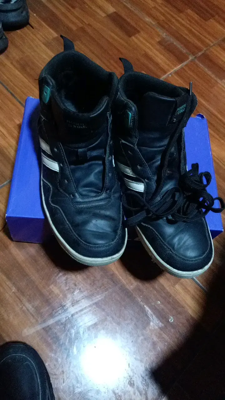 Zapatillas deportivas negras north star - 1