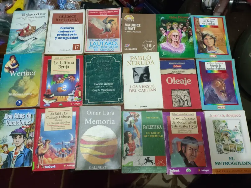Lote de libros clásicos y contemporáneos en español