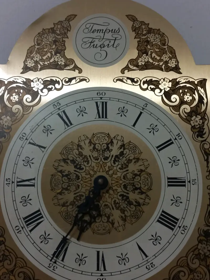 Reloj de pared vintage Tempus Fugit decorativo - 2