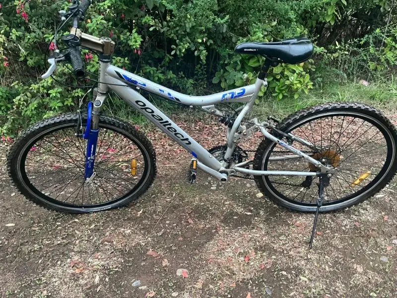 Bicicleta de montaña Opaltech F19 gris - 1