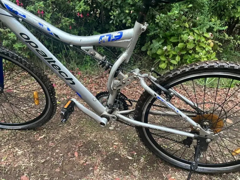 Bicicleta de montaña Opaltech F19 gris - 3