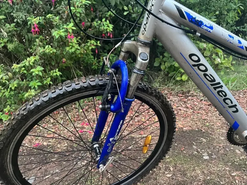 Bicicleta de montaña Opaltech F19 gris - 4