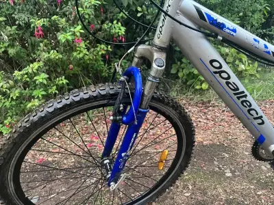 Bicicleta de montaña Opaltech F19 gris - miniatura 4
