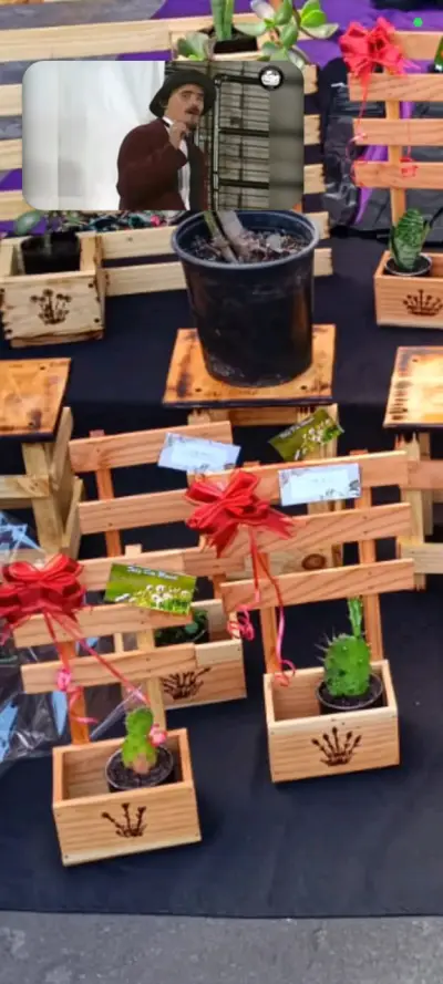 Soportes de madera para macetas decorativas - miniatura 4