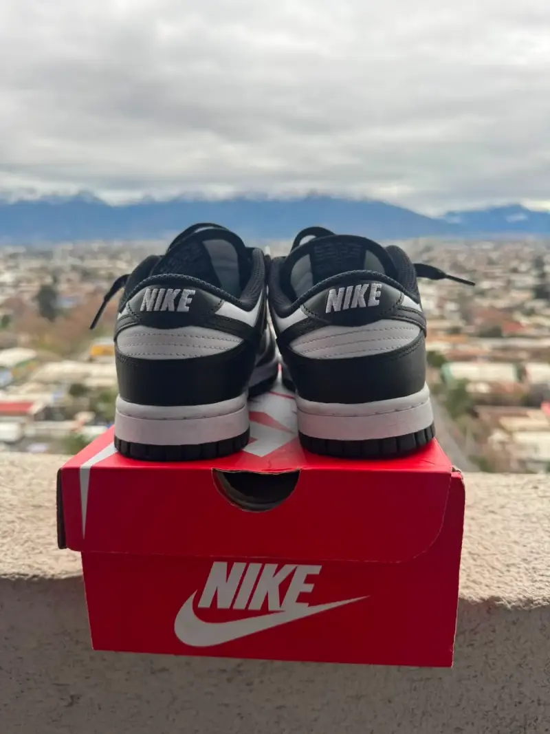 Zapatillas Nike Dunk Low Blanco y Negro - 2
