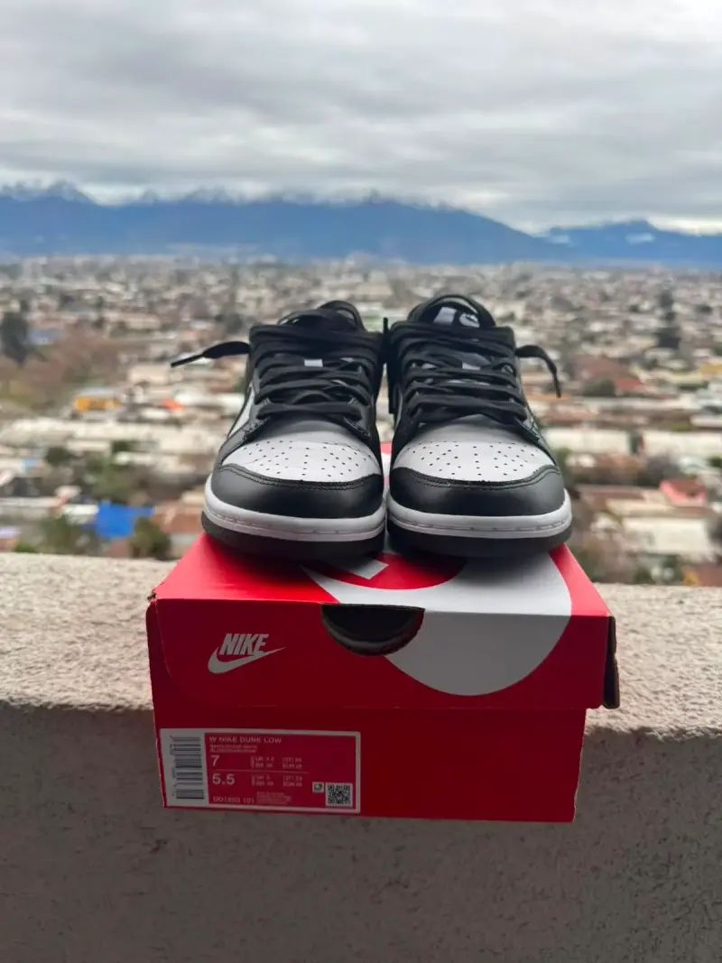 Zapatillas Nike Dunk Low Blanco y Negro - 3