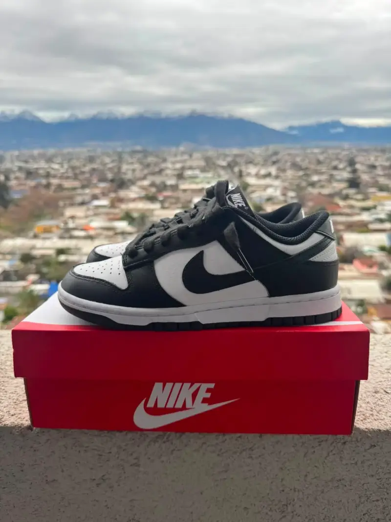 Zapatillas Nike Dunk Low Blanco y Negro - 4