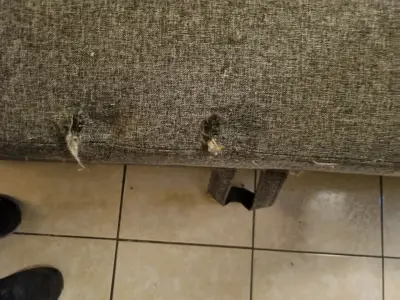 Sillón en L con sofá cama y baúl - miniatura 3