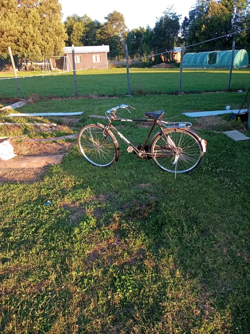 Bicicleta clásica de paseo negra con portaequipajes - 4