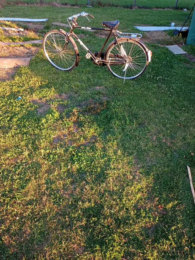 Bicicleta clásica de paseo negra con portaequipajes - 6