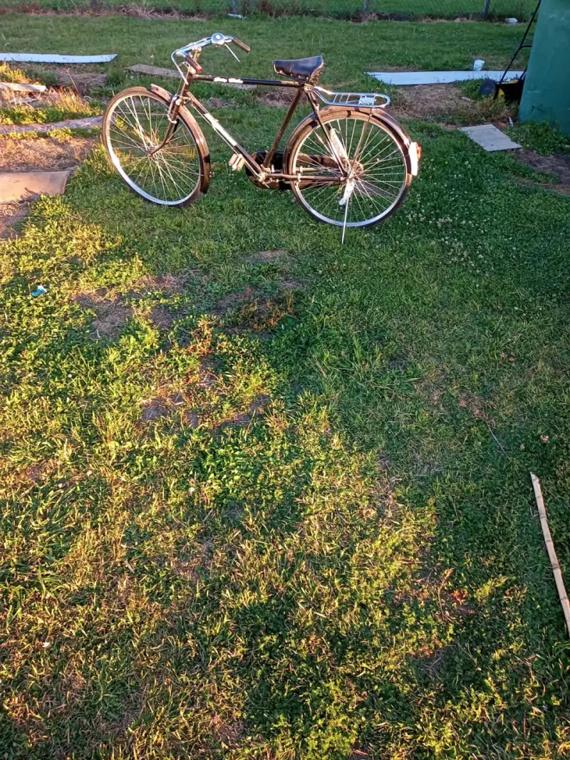 Bicicleta clásica de paseo negra con portaequipajes - 5