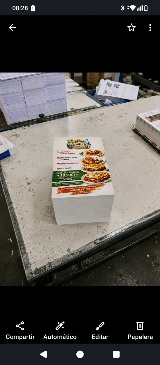 1000 flyers full color + diseño profesional 10x14 - 1