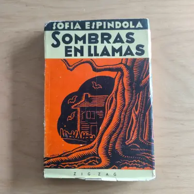 Libro 'Sombras en llamas' - Editorial Zig Zag - miniatura 1