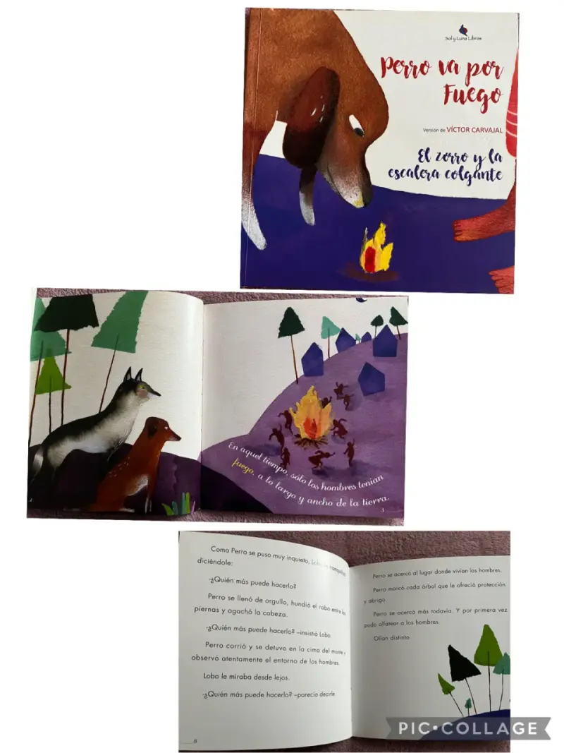 Libro infantil 'Perro va por Fuego' de Víctor Carvajal - 5
