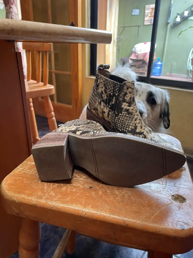 Botines de cuero con estampado de serpiente - 3