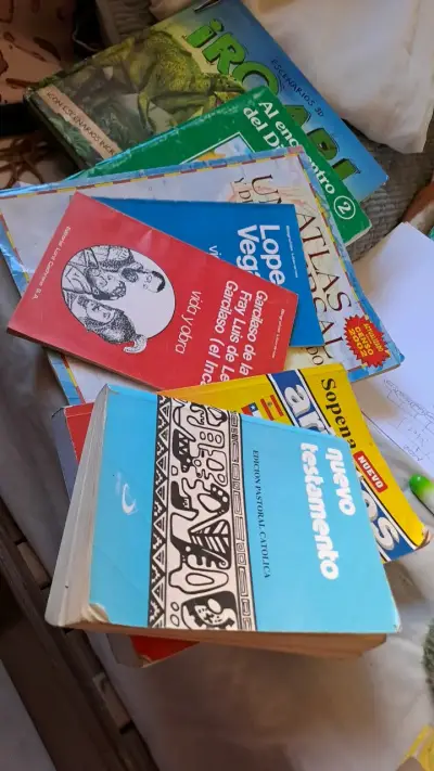 Lote de Libros Educativos y Religiosos - miniatura 1