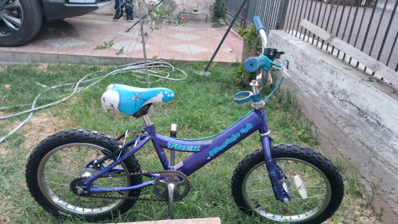 Bicicleta infantil Trek azul con diseño divertido - 3